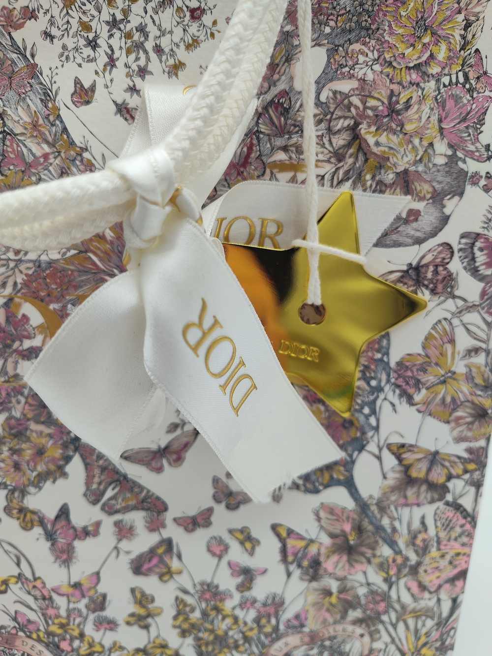 DIOR Butterfly Floral Around The World Gift Bag Gold Star Charm Ribbon PRISTINE - Picture 3 of 10